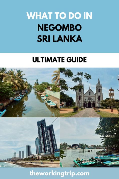 Want to explore Negombo, Sri Lanka? Whether Negombo is on your Sri Lanka itinerary or you're making a quick stop before the airport, check out our list of what not to miss. Negombo Sri Lanka, Sri Lanka Itinerary, Sri Lanka Holidays, Sri Lanka Beach, Sri Lanka Travel, Where To Go, To Miss, All The Best, Best Hotels