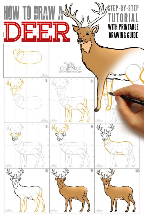 Deer Drawing Easy, Draw Deer, Draw A Deer, Drawing Deer, Drawing Grid, Deer Coloring Pages, Cartoon Deer, Drawing Steps, Small Deer