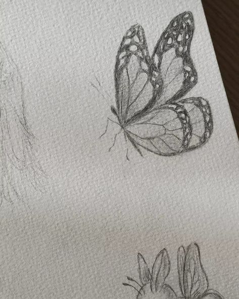 Butterfly Sketch, Easy Doodle Art, Butterfly Drawing, Easy Doodles Drawings, Art Diary, Doodle Art Designs, Mini Drawings, Art Drawings Sketches Creative, Hand Art Drawing