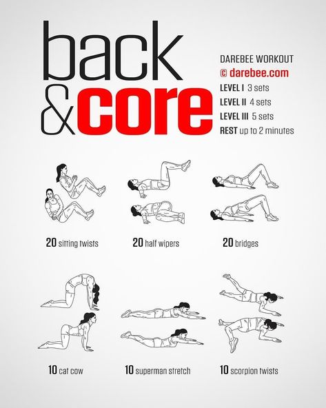 Darebee Abs Women, Back Workout Darebee, Darebee Back Workout, Back Day Home Workout, Back And Core Workout At Home, Workouts Darebee, Darebee Workout Women, Rage Workout, Floor Core Workout