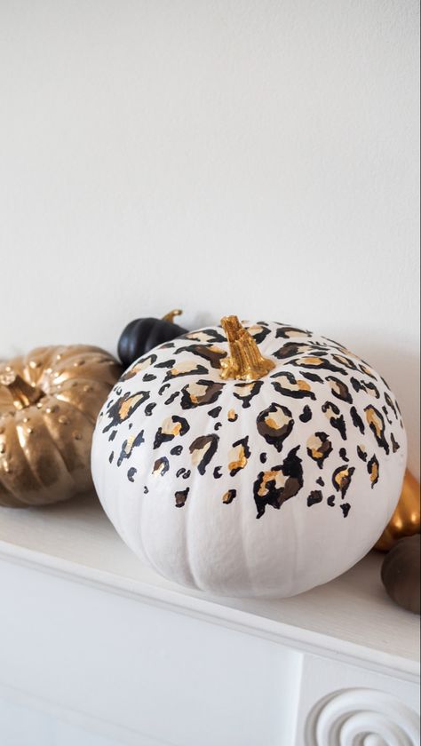 Cute Painted Pumpkin Ideas, Fall Greetings, Pumpkin Painting Party, Cheetah Pumpkin, Creative Pumpkin Painting, Leopard Painting, Pumpkin Diy, Pumpkin Decorating Contest, No Carve Pumpkin Decorating