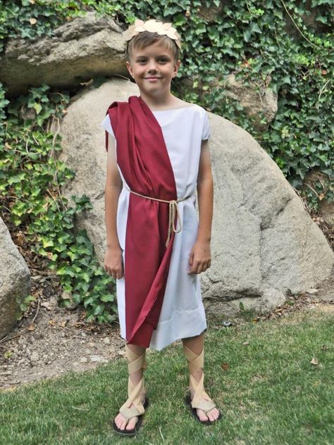 DIY Roman Toga Costume | HGTV >> http://www.hgtv.com/design/make-and-celebrate/handmade/halloween-costume--roman-toga?soc=pinterest Toga Halloween Costume, How To Make A Toga, Toga Costume Diy, Diy Toga, Toga Outfit, Greece Costume, Greek God Costume, Diy Costumes Kids Boys, Roman Toga