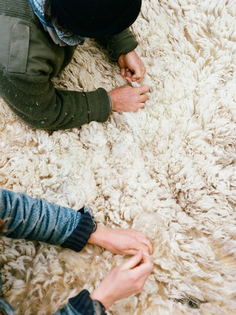 Brian Ferry Documents Sheep Shearing In The Appalachian Mountains – iGNANT.de Brian Ferry, The Blue Hour, Sheep Shearing, Appalachian Mountains, Brand Book, Blue Hour, Farm Gardens, Butterfly Wallpaper, Loro Piana