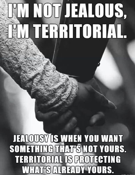 Territorial, not jealous. Not Jealous, Indoor Hydroponics, Love You Meme, Love Memes Funny, Romantic Quotes For Her, Im Jealous, Jealous Of You, Love My Man, Romantic Love Quotes