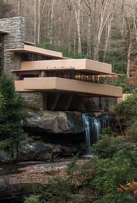 Falling Water Frank Lloyd Wright, Falling Water House, Frank Lloyd Wright Architecture, Frank Lloyd Wright Homes, Genius Loci, Water House, Environmental Design, Frank Lloyd, Facade Architecture