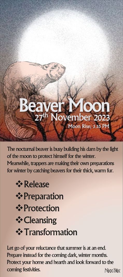 Beaver Full Moon, Full Moon Taurus, November Full Moon, Beaver Moon, Moon Names, Lunar Moon, Healing Journaling, Moon Ritual, Crystals For Manifestation