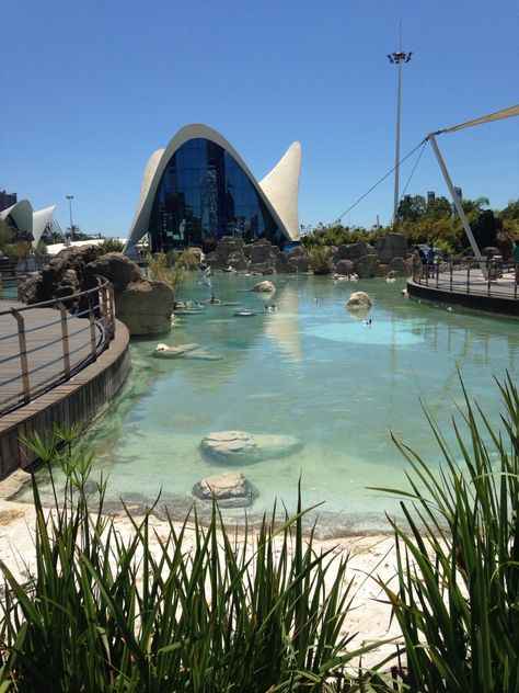 Valencia Aquarium, Valencia City, Science Center, Spain Travel, Photo Dump, Modern Architecture, Valencia, Sydney Opera House, Spain