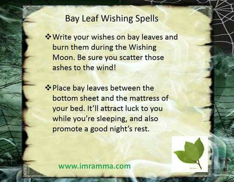 Bay leaf Wishing Spell, Wish Spell, Good Luck Spells, Magickal Herbs, Spells For Beginners, Luck Spells, Magic Herbs, Healing Spells, Magick Spells