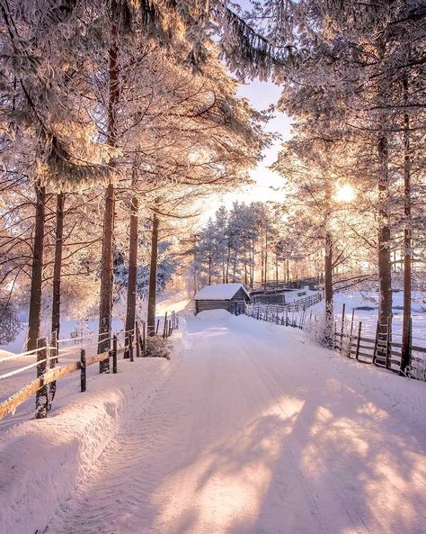 Winters Tafereel, Bright Winter, Winter Photos, Winter Scenery, Winter Beauty, Winter Wonder, Winter Aesthetic, Winter Photography, Winter Landscape