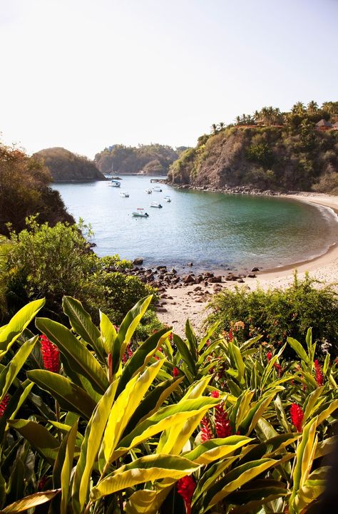 The Best Beaches in Mexico - Condé Nast Traveler Marieta Islands, Beaches In Mexico, Best Beaches In Mexico, Sea Of Cortez, Explore Mexico, Beach Destinations, Mexico Resorts, Visit Mexico, Baja California Sur