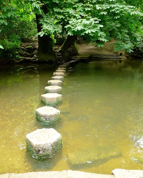 The Stepping Stones walk at Box Hill — Life at 139a Pushing A Rock Up Hill, Pushing Rock Uphill, Mystery Aesthetic, Garden District Walking Tour, Forest Backgrounds, Scotland Standing Stones, Standing Stones Scotland, Box Hill, Bridge Structure