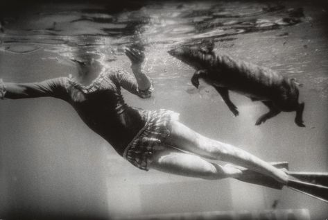 Garry Winogrand. Aquarena Springs, San Marcos, Texas. 1964 | MoMA Martin Munkacsi, Adrienne Rich, Garry Winogrand, Film Studies, Gelatin Silver Print, History Of Photography, Famous Photographers, Street Photographers, Black White Photos