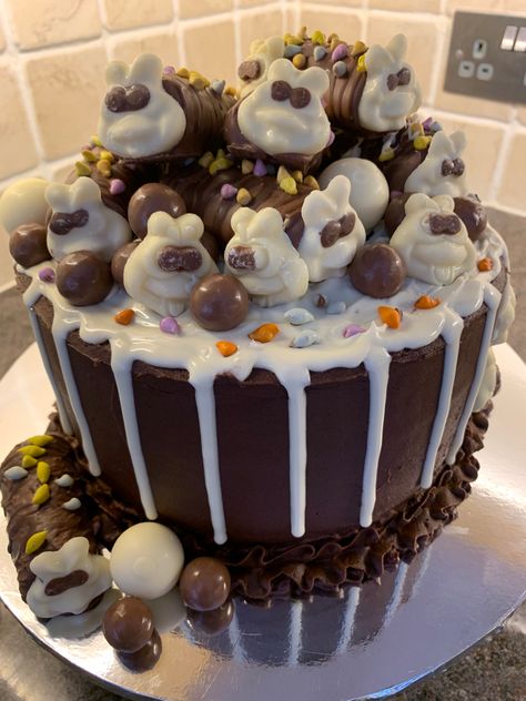 Cadbury Birthday Cake Ideas, Colin The Caterpillar Cake Recipe, Collin The Caterpillar Cake, Choc Drip Cake Ideas, Colin The Caterpillar Cake, Creepy Crawly Cake, Huge Wedding Cakes, Colin The Caterpillar, 18th Ideas