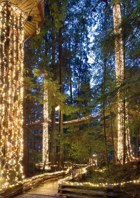 Canyon Lights | Capilano Suspension Bridge Park Vancouver Bridge, Suspension Bridge Vancouver, Capilano Suspension Bridge, Sky Walk, Canada Vancouver, Canada Photos, Parks Canada, Suspension Bridge, Dream Travel Destinations