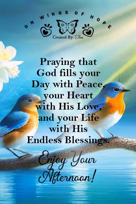 Praying that God fills your day with peace, your heart with His love, and your life with His endless blessings. Enjoy Your Afternoon! life quotes quotes positive quotes quote god life positive quote God Bless My Friend Quote, Blessings For Your Day, Spiritual Peace Quotes, Enjoy Your Day Images, Peace Blessings Quotes, Peaceful Day Quotes, Friend Blessing Quotes, Blessed Day Quotes Inspirational, Afternoon Quotes Inspiration