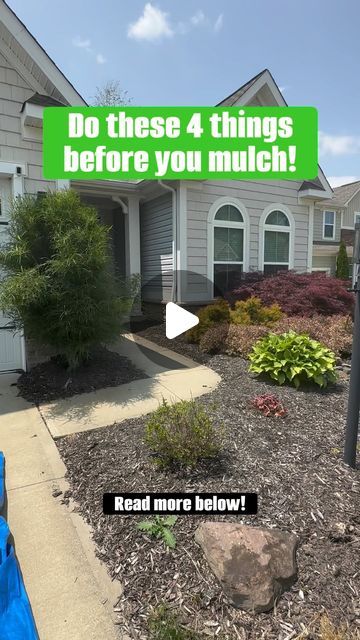 Green Muscle Landscaping on Instagram: "Do these 4 things things before you mulch!🔥

But first, save this reel to come back to later.💯

✅ Remove all weeds and debris from you beds
- Old layered mulch that’s accumulating 
- Weeds 
- Branches, leaves, sticks, etc. 

✅ Use a pre-emergent like @preenweedcontrol to prevent future weeds. I like to put this down before mulch. I also like to water the granules in which is a step I feel some miss. 

✅ Use a spade shovel, half moon edger, or any type of hand edger to give your beds a deep clean edge. This gives you clear separation between your lawnand garden beds. 

✅ I like to give the beds one more rake to make sure the surface is clean and smooth to ensure a even texture when the mulch is spread. 

⚡️When spreading the mulch I dump wheelbarrow Mulch Beds In Front Of House, Mulch Bed Edging, Mulch Alternative Ideas, Mulch Landscaping Ideas, Black Rubber Mulch, Mulch Ideas, Mulch Alternatives, Driveway Edging, Garden Mulch