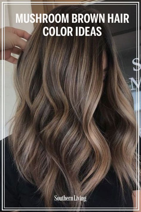 Mocha Hair With Blonde Highlights, Balayage, Mushroom Brown Highlights On Brown Hair, Mushroom Colour Hair, Mushroom Colored Hair, Toning Down Blonde Hair Highlights, Hoc Summer Hair Colors, Brown Toner For Blonde Hair, Mushroom Brown Hair Color With Highlights