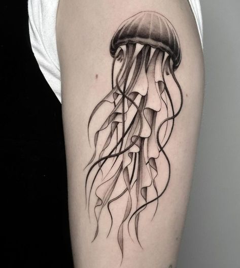 Tribal jellyfish tattoos mix the mystery of jellyfish with traditional tribal designs. Read more 👉 https://lttr.ai/AVoRB #tattoo #tattoos #TattooIdeas #NatureSCreaturesSurvive #JellyfishSAnatomicalFeatures #CarryDeepMeanings #TheyReSuperEyeCatching #GracefulMovementsEmbody #IncorporateShadingTechniques #FindCountlessInspirations #JellyfishTattoos Minimalist Jellyfish, Jellyfish Tattoo Design, Holy Tattoos, Rib Tattoo Placements, Squid Tattoo, Whimsical Princess, 16 Tattoo, Princess Jellyfish, Funky Tattoos