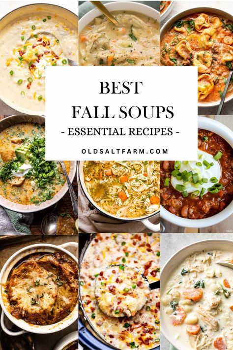 Best Fall Soups - Essential Recipes | Old Salt Farm Best Fall Soups, Fall Soups Crockpot, Soup And Salad Combo, Warm Soup Recipes, Gourmet Soup, Cozy Fall Recipes, Fall Recipes Pumpkin, Winter Soup Recipe, Winter Cooking