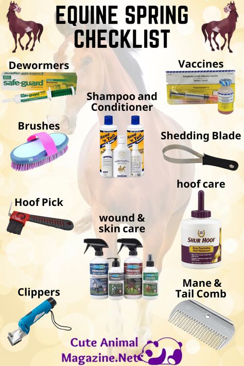 Things You Need For A Horse, New Horse Owner Checklist, Things For Horses, First Horse Checklist, Horse Must Haves, Horse Checklist, Horse Riding Exercises, Horse Essentials, Spring Checklist