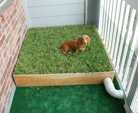 Finished Product http://www.barklands.com/product-category/dog-houses-crates-kennels/crates-kennels/ Dog Porch, Porch Potty, Dog Potty Area, Indoor Dog Potty, Artificial Grass For Dogs, Train Dog, Dogs Tips, Dog Toilet, Dog Run