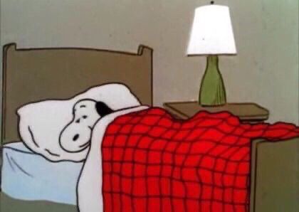 Sleepy Snoopy, Snoopy Sleeping, Snoopy, Log In, Log, On Twitter, Bed, Twitter, Red