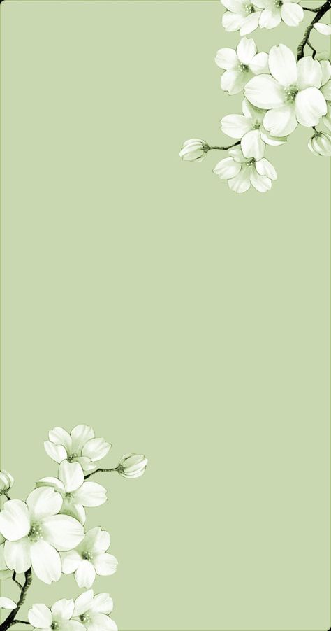 Cute Background Pictures, Fall Background Wallpaper, Iphone Wallpaper Texture, Watch Background, Sage Green Wallpaper, Purple Flowers Wallpaper, Aesthetic Lockscreens, Iphone Wallpaper Landscape, Wallpapers Desktop