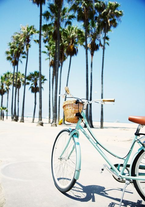 Venice Beach California, Awesome Nature, Anna Maria Island, Skateboarder, Gap Year, Summer Inspiration, Florida Keys, Venice Beach, Beach Aesthetic