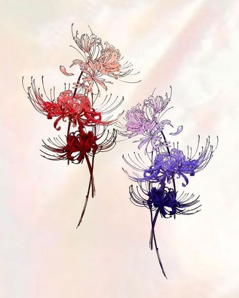 Red And Blue Spider Lily, Red And Blue Spider Lily Tattoo, Blue Spider Lily Tattoo Design, Spiderlili Tattoo Design, Spider Lily Meaning, Blue Spider Lily Tattoo, Spider Lilies Tattoo, Red Spider Lily Drawing, Red Spider Lily Aesthetic