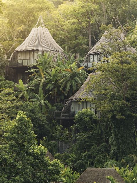 Keemala Phuket, Regenerative Design, Bucket List Hotels, Forest Resort, Resort Island, Jungle Resort, Garden Escape, Treehouse Hotel, Resort Architecture