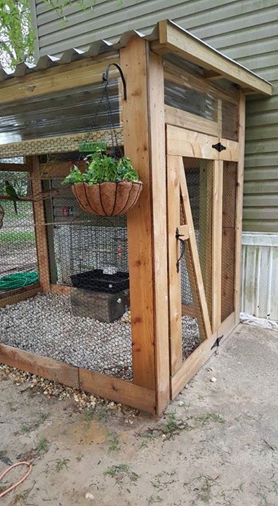 Outdoor aviary idea Outdoor Aviary, Aviary Ideas, Fantail Pigeon, Flight Cage, Raising Quail, Pet Bird Cage, House Kits, Cat Patio, Bird Houses Ideas Diy