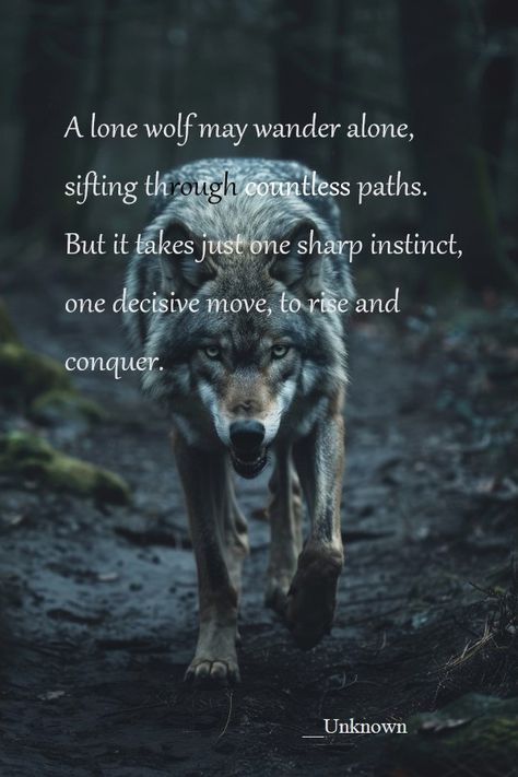 Pins reflecting the strategic nature of the lone wolf. Loan Wolf Quote, Ravenwolf Quotes, Quotes About Wolves, Wolf Quotes Strength, Lone Wolf Aesthetic, Wolf Mentality, Wolf Meaning, Wolf Pack Quotes, Wolf Quote