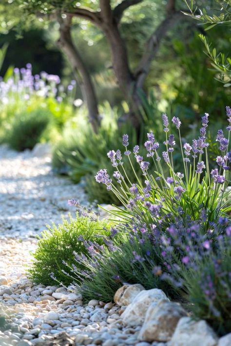 French Cottage Front Yard, Tuscan Garden Ideas, Garden Mediterranean, Mediterranean Landscape Design, European Landscape, Mediterranean Garden Design, Jade Design, Mediterranean Plants, Mediterranean Landscaping