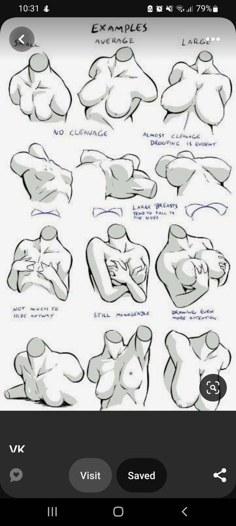 Drawing Female Body, Anatomy Sketches, Different Poses, Body Reference Drawing, Basic Drawing, 캐릭터 드로잉, Female Anatomy, Poses References, Anatomy Drawing