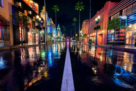 Hollywood Boulevard in the Rain Hollywood Blvd, Night Sky Photography, Los Angeles Travel, Disney Photography, Hollywood Boulevard, Taking Photos, Disney Theme Parks, Hollywood Studios, Adventure Awaits