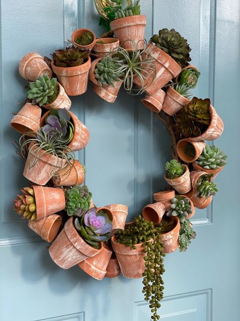 Succulent pots