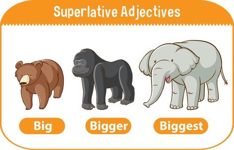 Superlative Adjectives for word big Verb English, Adjectives For Kids, Degrees Of Comparison, 1st Grade Reading Worksheets, Speech Therapy Worksheets, Daily Use Words, Felt Animal Patterns, Superlative Adjectives, Comparative Adjectives