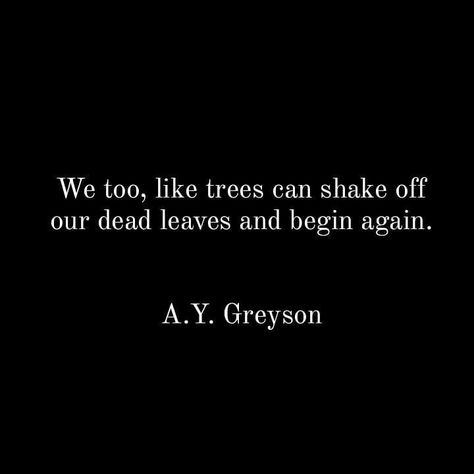 Rebuilding Quotes Starting Over, Quotes About Endings And New Beginnings, Quotes About Starting Again, Beginning Again Quotes, Ready To Start Over Quotes, Quotes Starting Over, Quotes About Finding Someone New, Start All Over Again Quotes, Being Still Quotes