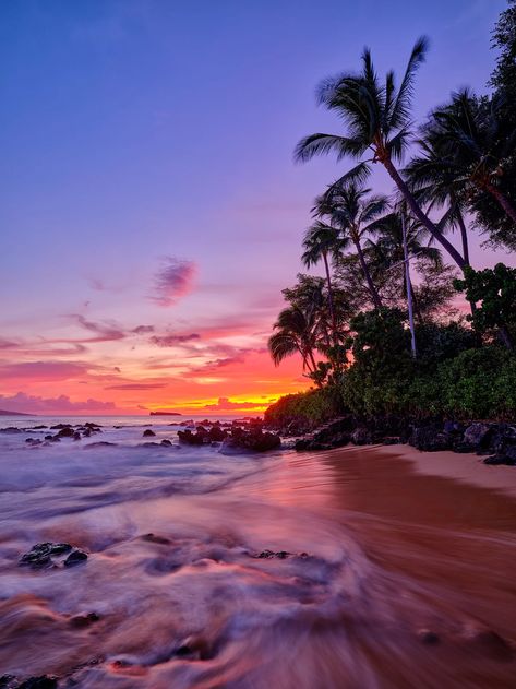 Palm In Paradise | Maui, Hawaii | Andrew Shoemaker Maui Hawaii Aesthetic, Sunrise Photography Beach, Hawaii Pictures, Hawaiian Sunset, Hawaii Photography, Maui Beach, Hawaii Art, Forest Scenery, Maui Travel