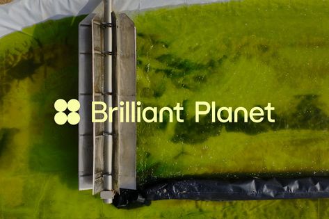 Brilliant Planet is making space for a better world. The venture capital and Innovate UK-backed project uses algae to capture and convert CO2 into stable biomass, ultimately resulting in a twofold effect – de-acidifying local seawater while sequestering CO2, thereby removing it permanently from the atmosphere. They collaborated with Wildish & Co. to reimagine their voice and identity and communicate their complex systems through a sharp, fresh tone. #graphic #design #graphicdesign #identity Green Branding, Eco Brand, Desert Environment, Visual Identity Design, Making Space, Complex Systems, Creative Challenge, Eco Design, Venture Capital