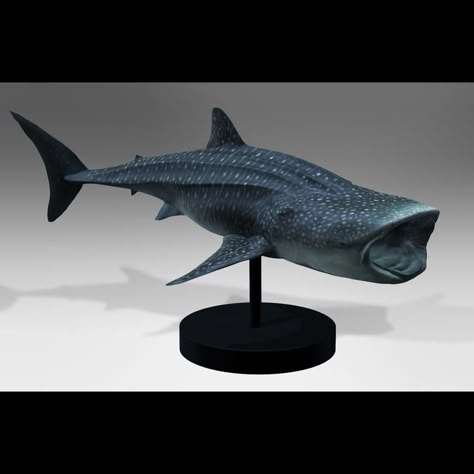 Whale Shark Sculpture, Clay Whale Shark, Cardboard Art Sculpture, Shark Sculpture, Ocean Turtle, Whale Painting, Shark Art, Blue Shark, Dark Artwork