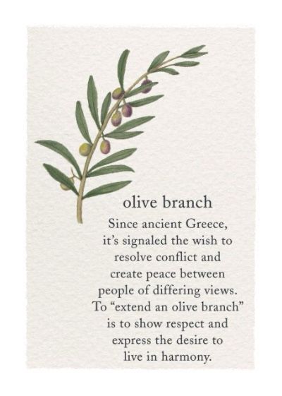 Olive Tree Meaning, Olive Branch Aesthetic, Olive Branch Tattoo Meaning, Olive Branch Meaning, Tattoo Olive Branch, Olive Tree Tattoo, Olive Tree Tattoos, Tree Meanings, Olive Tattoo