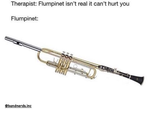 Band Kid Meme, Consider Your Pants Peed, Flute Jokes, Funny Band Jokes, Band Puns, Musician Memes, Musician Jokes, Marching Band Jokes, Band Funny