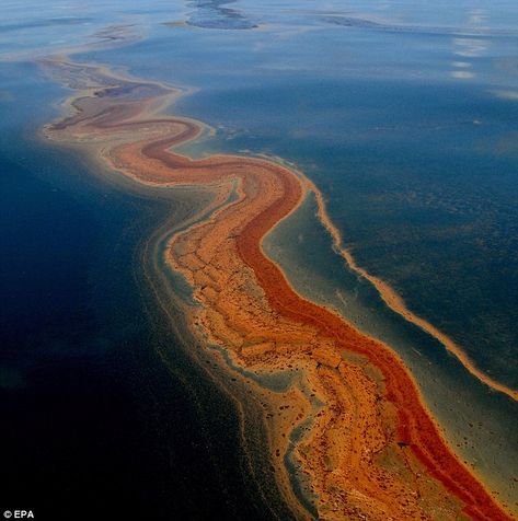 Deepwater Horizon Oil Spill, Oil Pollution, Deepwater Horizon, Marine Pollution, Sea Floor, Ocean Pollution, Oil Well, Water Pollution, Oil Spill