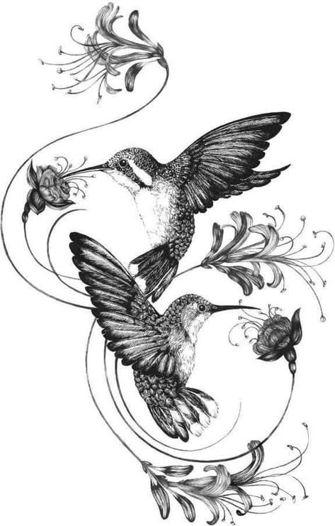 Birds Flying, Giclée Print, Hummingbirds, Fine Art Print, Birds, Art Print, Fine Art, Tattoos, Flowers