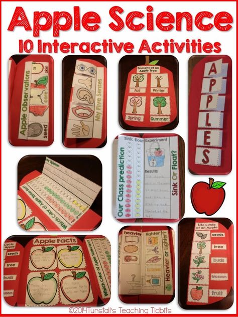 Apples! Hands-On Science Apple Science, Apple Facts, Apple Kindergarten, Apple Ideas, Apple Lessons, September Themes, Apple Preschool, Apple Unit, 1st Grade Science