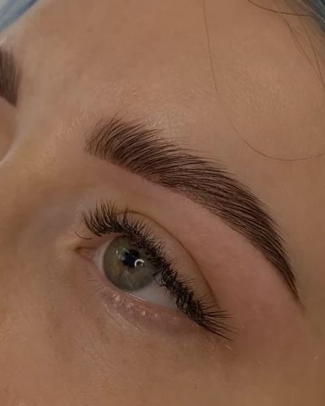 $65 Brow Lamination + $12 Brow Wax Brow Wax, Brow Lamination, Summer Glow, Fine Line Tattoos, Line Tattoos, Beauty Spa, Pinterest Pin, Fashion Books, Tattoo Shop