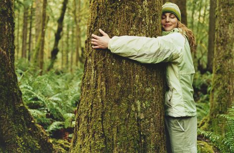 People Tree, Forest Bathing, Irish Heritage, Tree Hugger, Les Sentiments, Pose Reference Photo, Spiritual Journey, A Tree, Pose Reference