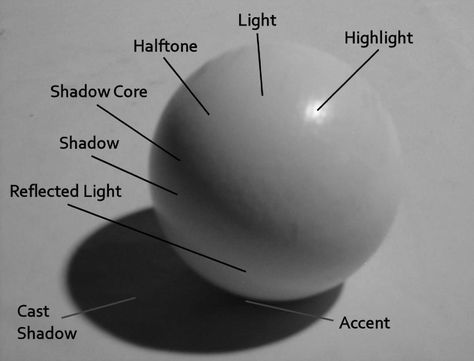 Shadow Drawing, Shading Techniques, Art Basics, Art Instructions, Chiaroscuro, Drawing Lessons, Art Tutorial, Painting Tips, Art Studies