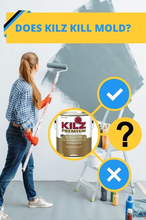 Does KILZ kill mold? Many of our readers have been asking. Our pros will guide us on when and when not to use KILZ mold killing paint and primer. via @howtohometips Sheetrock Ceiling, Kilz Paint, Kilz Primer, Kill Mold, Mold Prevention, Mold In Bathroom, Mildew Stains, Mold Remediation, Home Tips